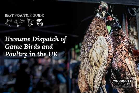 Dispatch of Game Birds and Poultry in the UK