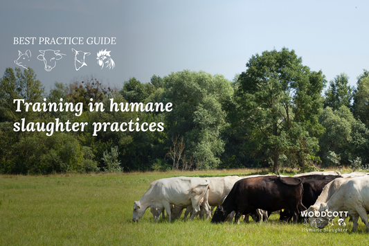 Training in humane slaughter practices