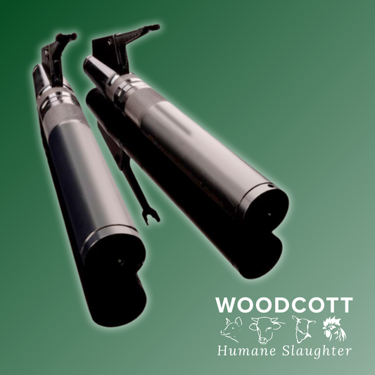 Entwistle Adler Stunner in .22